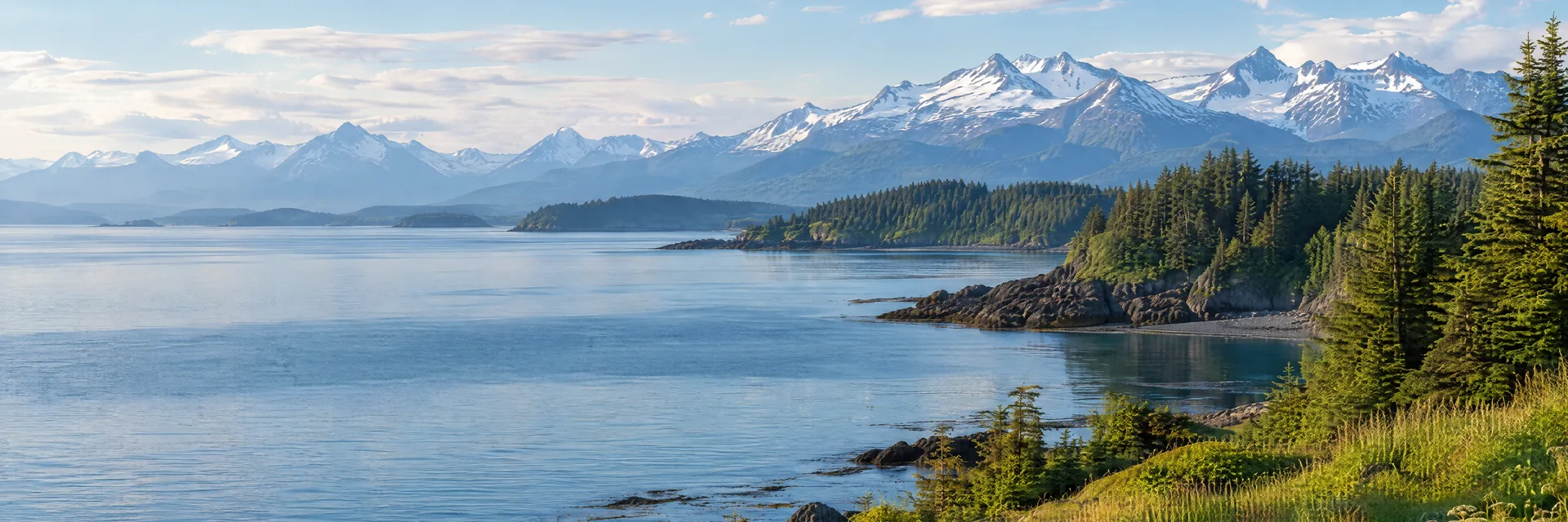 Illustration inspired by Homer, AK: alaska Kachemak Bay coastal water, spruce woodland, grassy shoreline and distant snow-covered mountains.