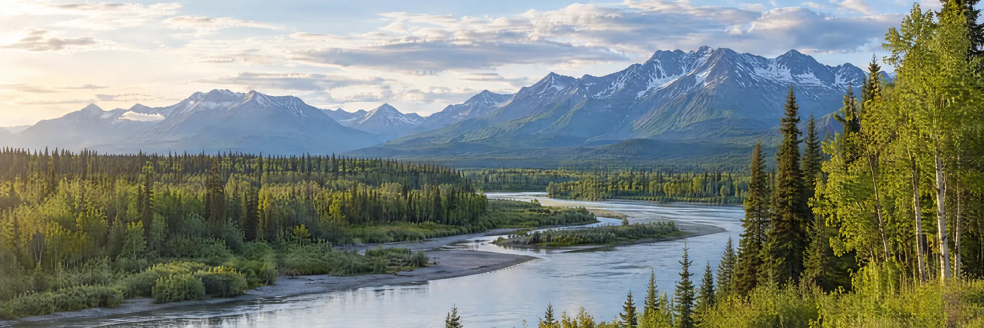 Illustration inspired by Willow, AK: southcentral Alaska river valley, spruce and birch woods and distant rugged mountains.