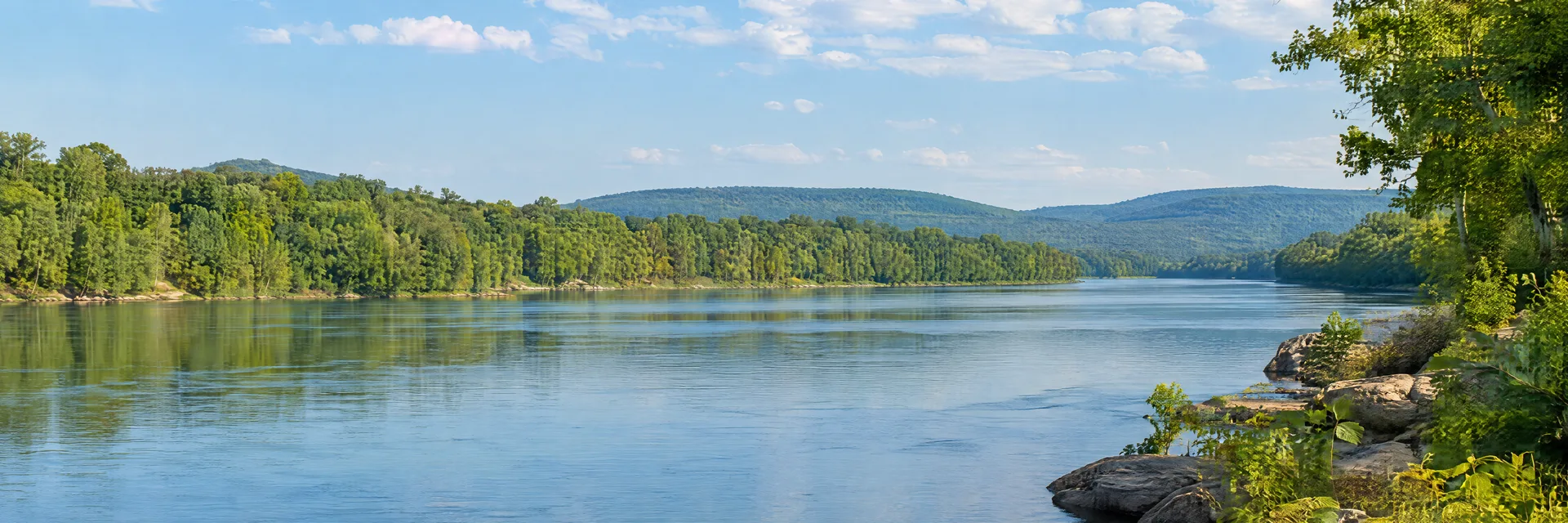 Illustration inspired by Decatur, AL: northern Alabama broad river with wooded shoreline and low green hills.
