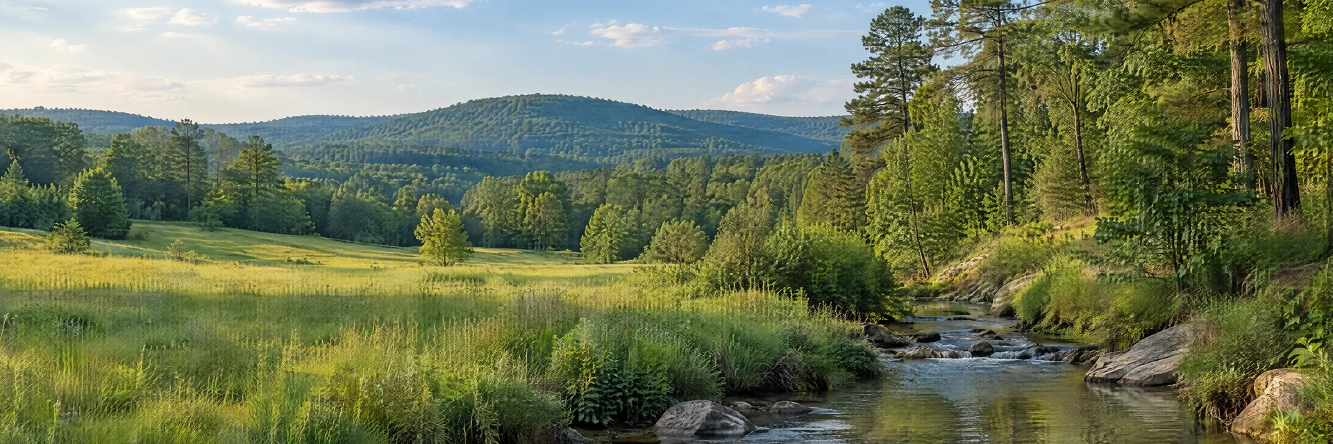 Illustration inspired by Goodwater, AL: east-central Alabama foothills, softly rolling green meadow, pine and hardwood woodland and a clear narrow creek.