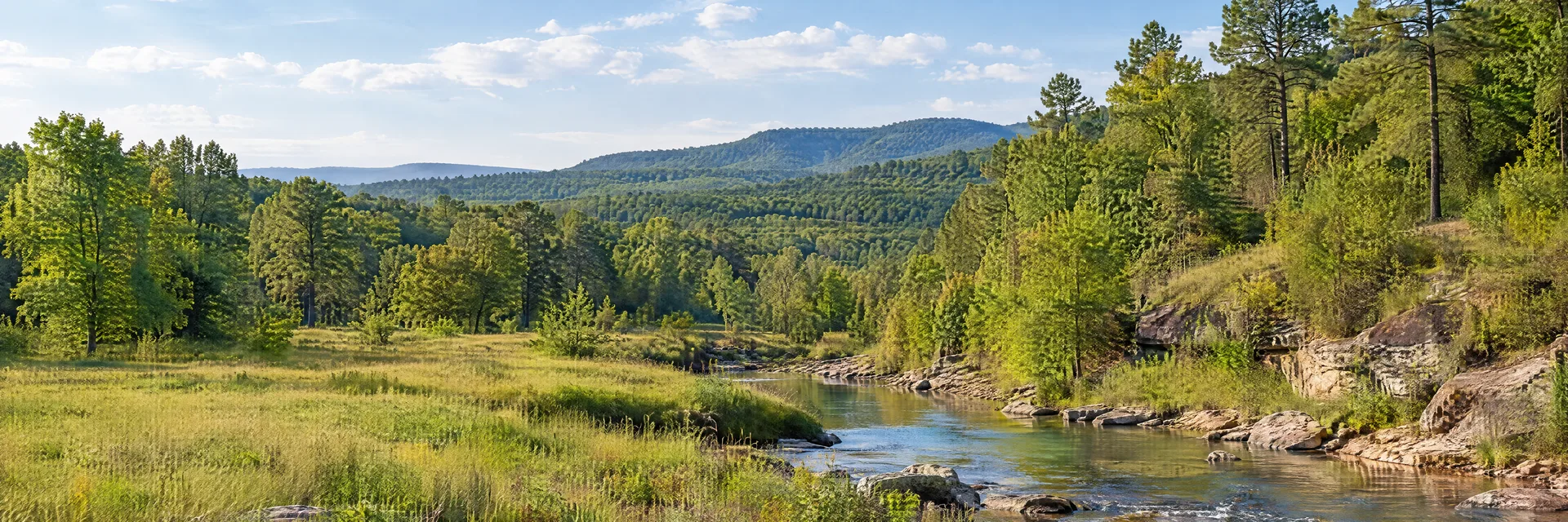 Illustration inspired by Mineral Springs, AR: southwestern Arkansas countryside, rolling pine and hardwood woodland, grassy meadow and a quiet freshwater creek.