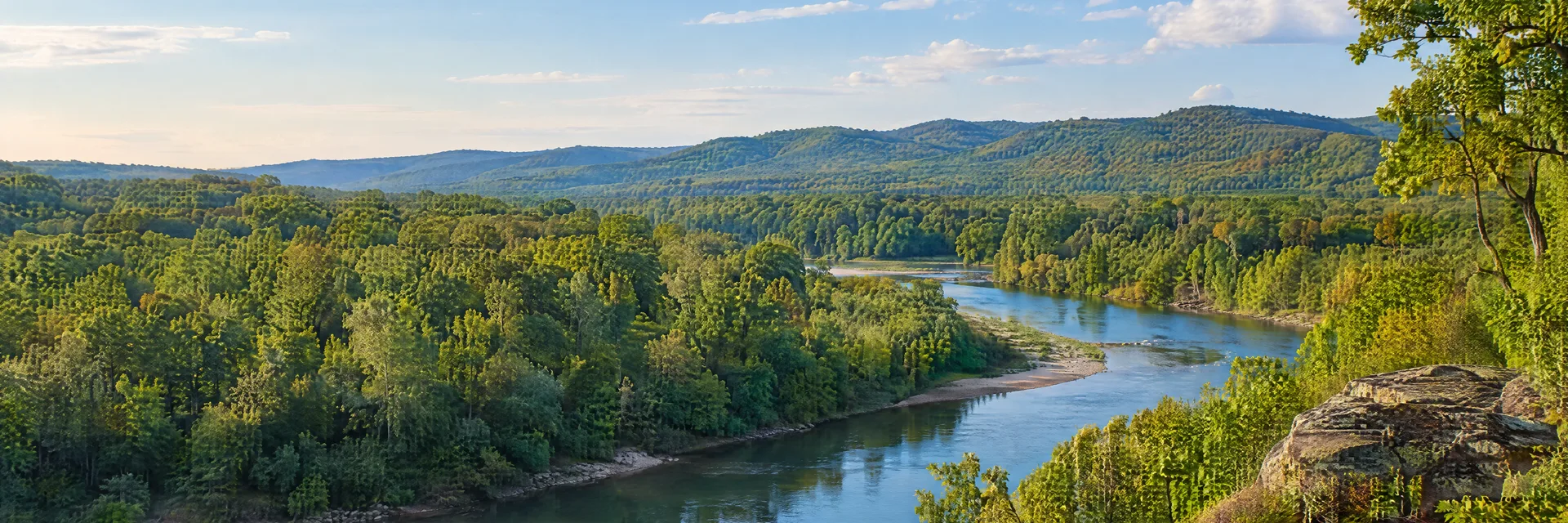 Illustration inspired by Murfreesboro, AR: southwestern Arkansas hardwood forest, gently rolling hills and clear river bend.