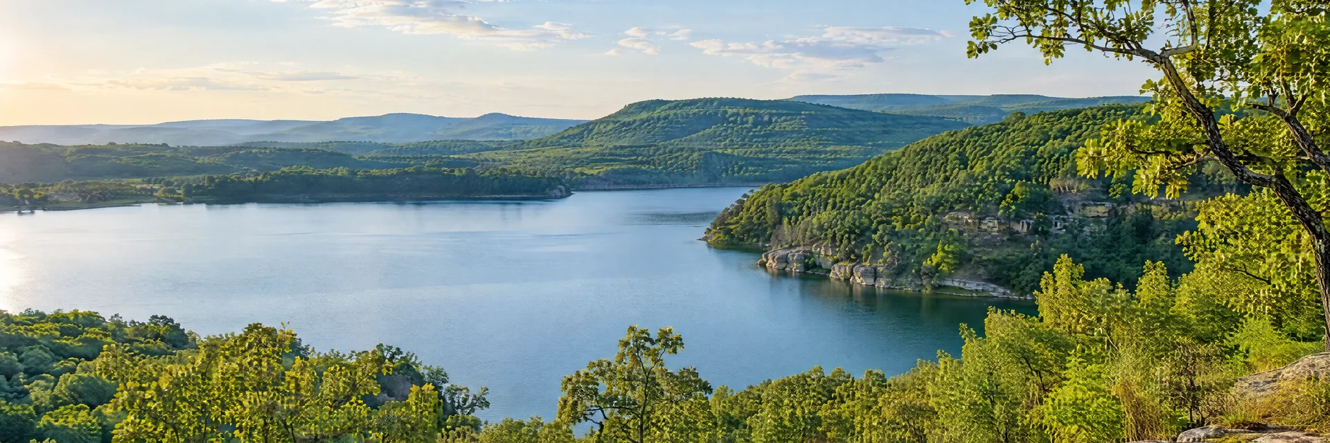 Illustration inspired by Springdale, AR: northwestern Arkansas green Ozark hills, oak woodland and quiet lake cove.