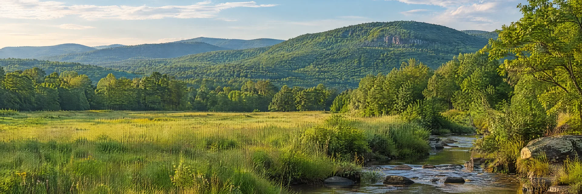Illustration inspired by Waldron, AR: western Arkansas Ouachita foothills, rolling forested ridges, quiet creek and open green meadow.