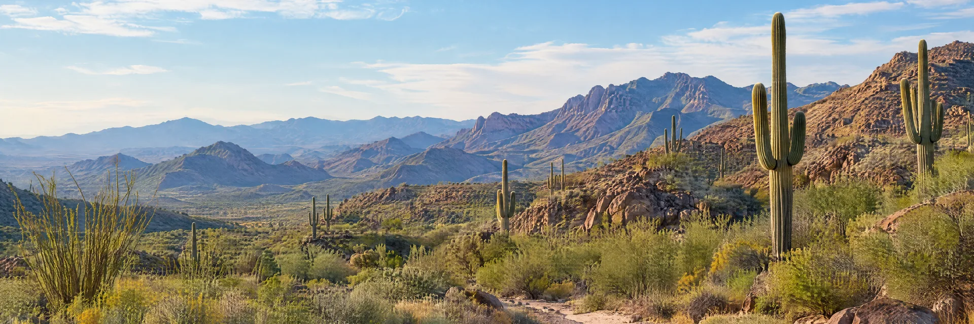 Illustration inspired by Black Canyon City, AZ: central Arizona Sonoran Desert foothills with saguaro cactus, desert scrub, warm rocky slopes and a dry sandy wash.