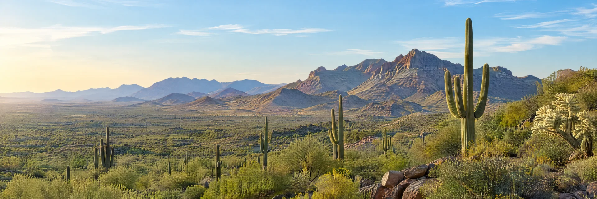 Illustration inspired by Buckeye, AZ: arizona Sonoran Desert broad valley with saguaros and rugged low mountains.