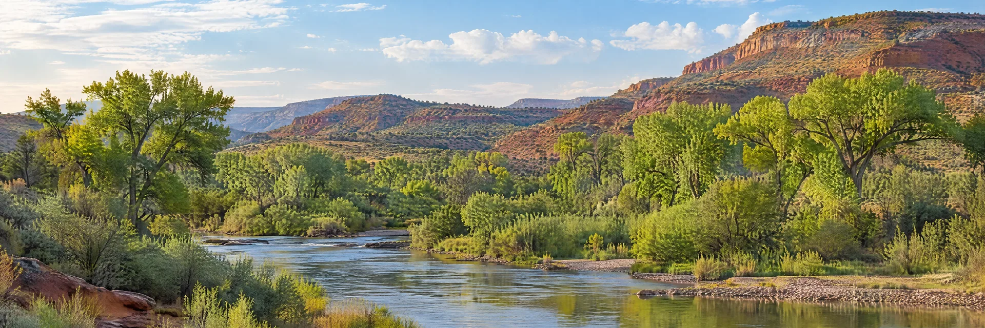 Illustration inspired by Camp Verde, AZ: arizona riparian river corridor with cottonwoods beneath red-brown hills.