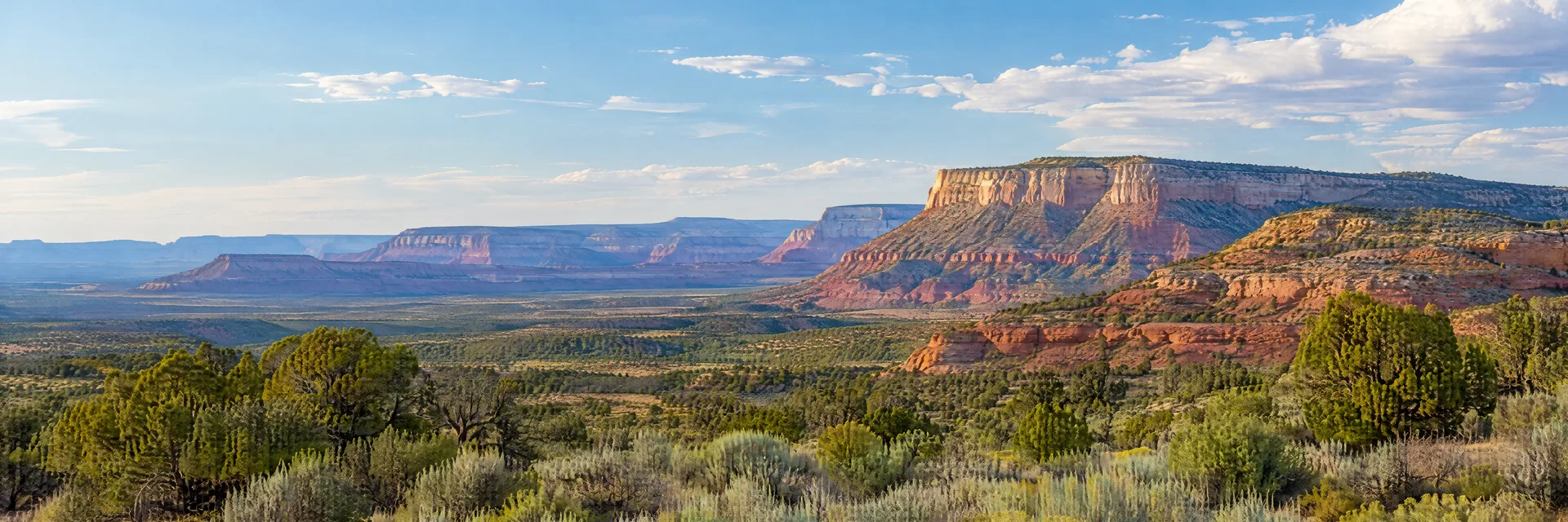 Illustration inspired by Fredonia, AZ: northern Arizona high-desert sagebrush, layered sandstone mesas and broad open sky.