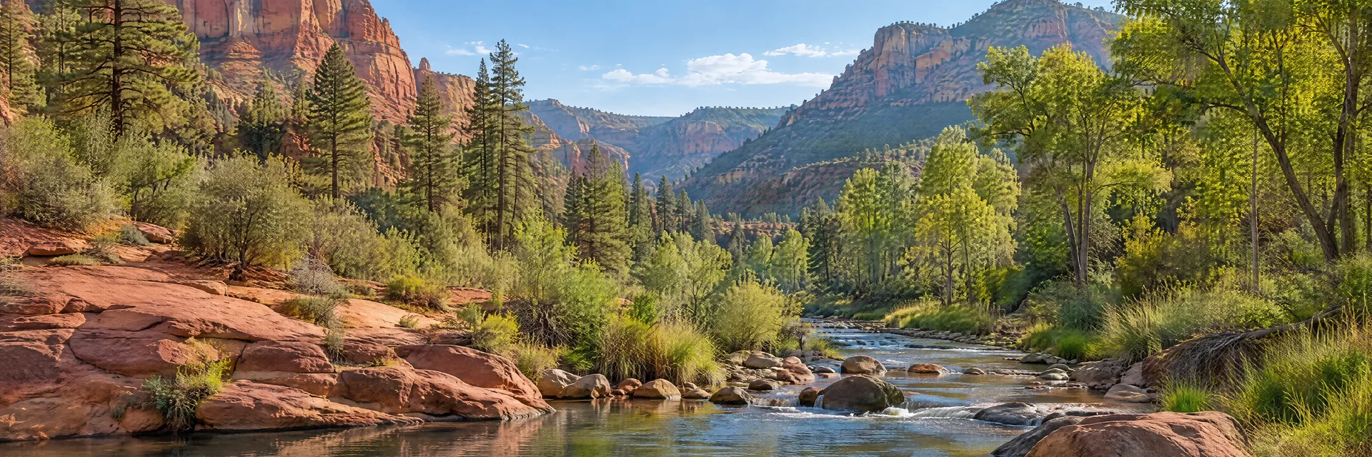 Illustration inspired by Oak Creek Canyon, AZ: northern Arizona red sandstone canyon landscape with pine and cottonwood trees along a clear creek, no exact named viewpoint.
