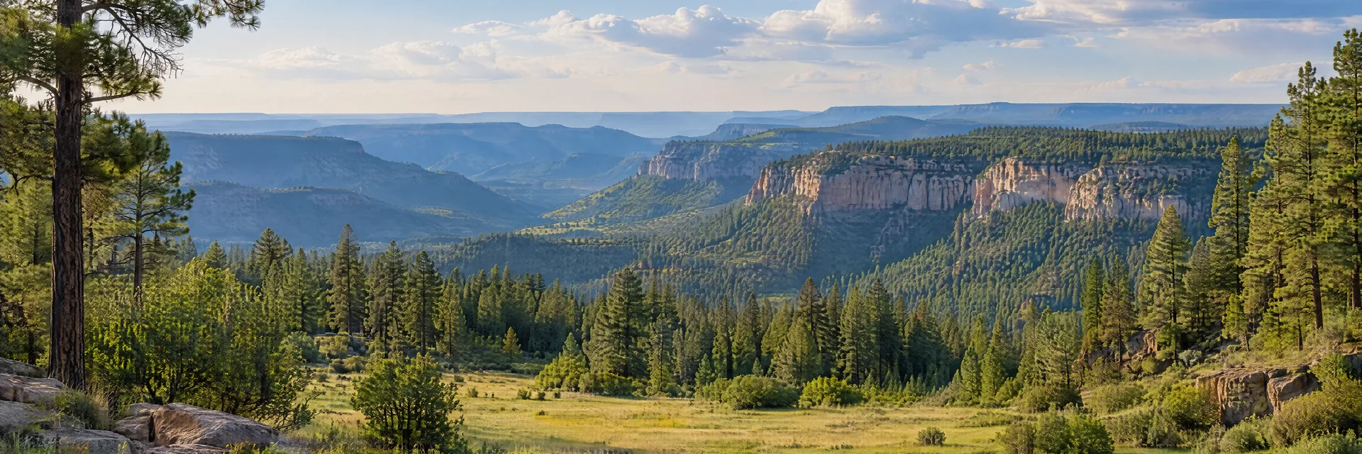 Illustration inspired by Payson, AZ: mogollon Rim ponderosa forest with layered escarpments and a meadow.