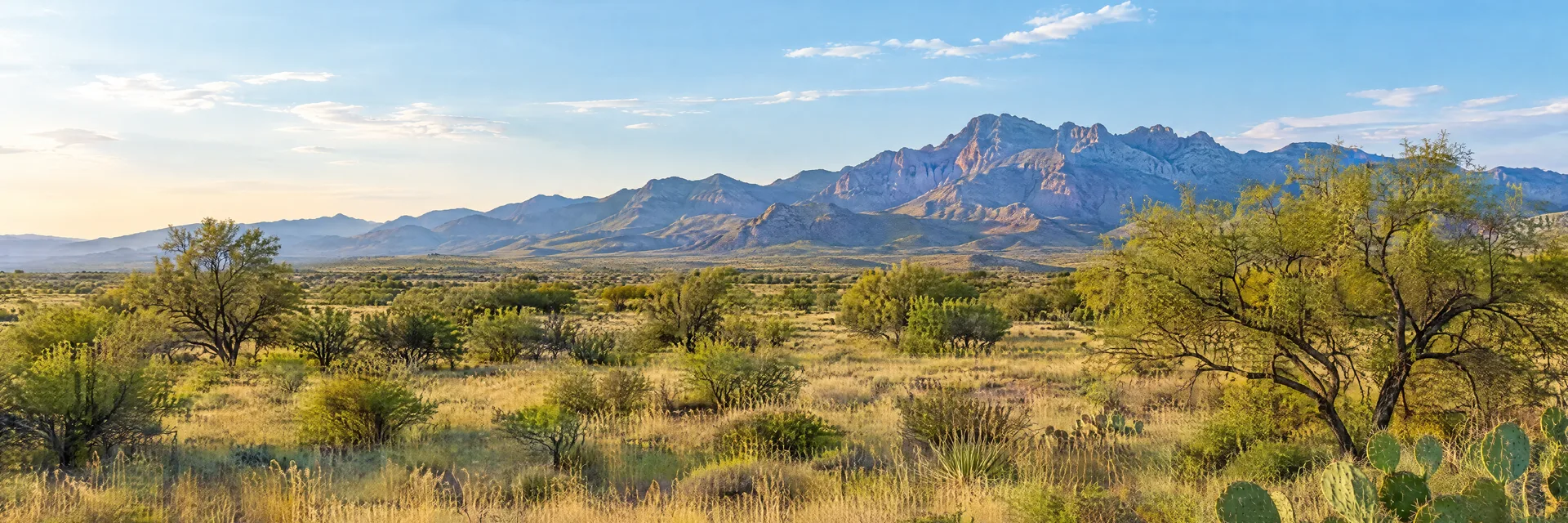 Illustration inspired by Tombstone, AZ: southeastern Arizona desert grassland, sparse mesquite, sandy terrain and distant rugged mountains.