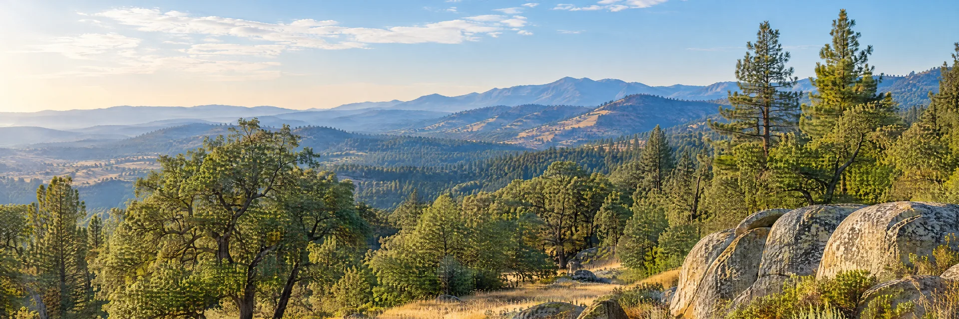 Illustration inspired by Badger, CA: california Sierra foothill oak-pine woodland, granite rocks and golden meadow.