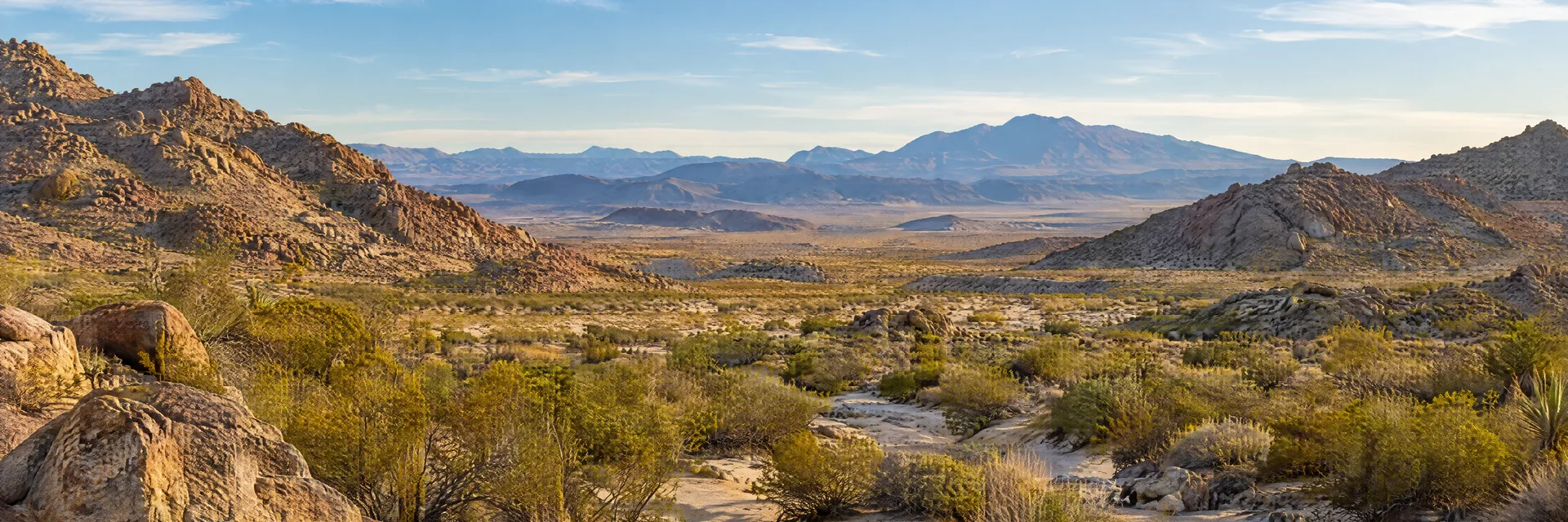 Illustration inspired by Barstow, CA: mojave desert landscape with rocky hills, creosote and sandy washes.