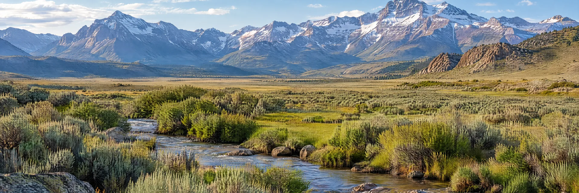 Illustration inspired by Bridgeport, CA: eastern Sierra sagebrush meadow with stream and rugged alpine backdrop.