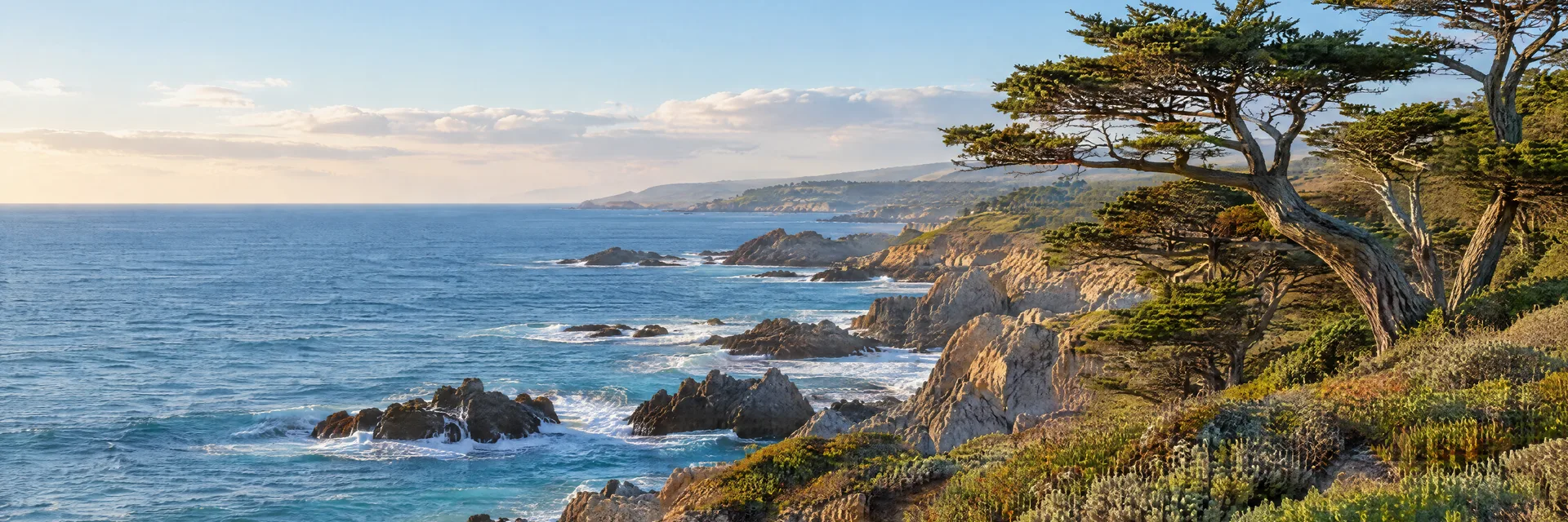 Illustration inspired by Cambria, CA: central California rocky Pacific shoreline and windswept Monterey pines.
