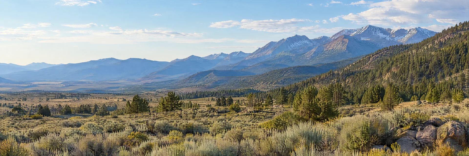 Illustration inspired by Carson City, Nevada: nevada high desert sagebrush valley and pine-covered eastern Sierra foothills.