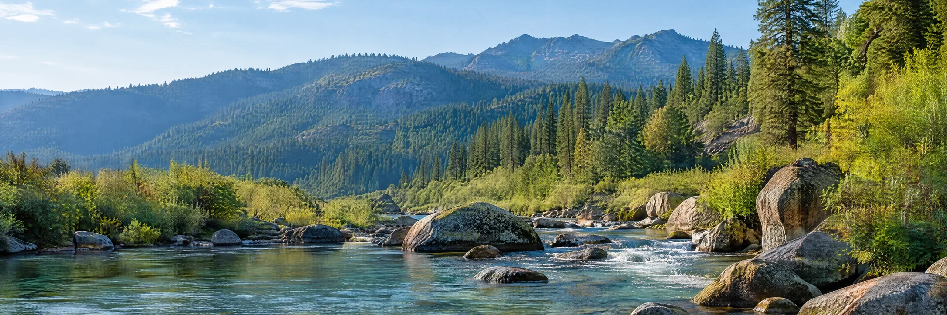 Illustration inspired by Coffee Creek, CA: northern California Trinity mountain country, clear boulder-lined creek, tall conifers and rugged forested ridges.