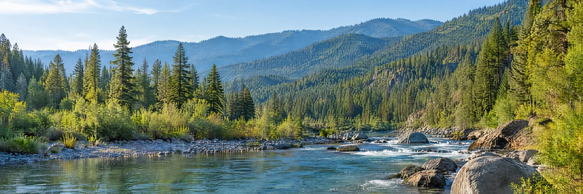Illustration inspired by Dunsmuir, CA: northern California Cascade foothills, clear rocky river, dense conifer woodland and layered forested mountain slopes without a specific volcanic summit.