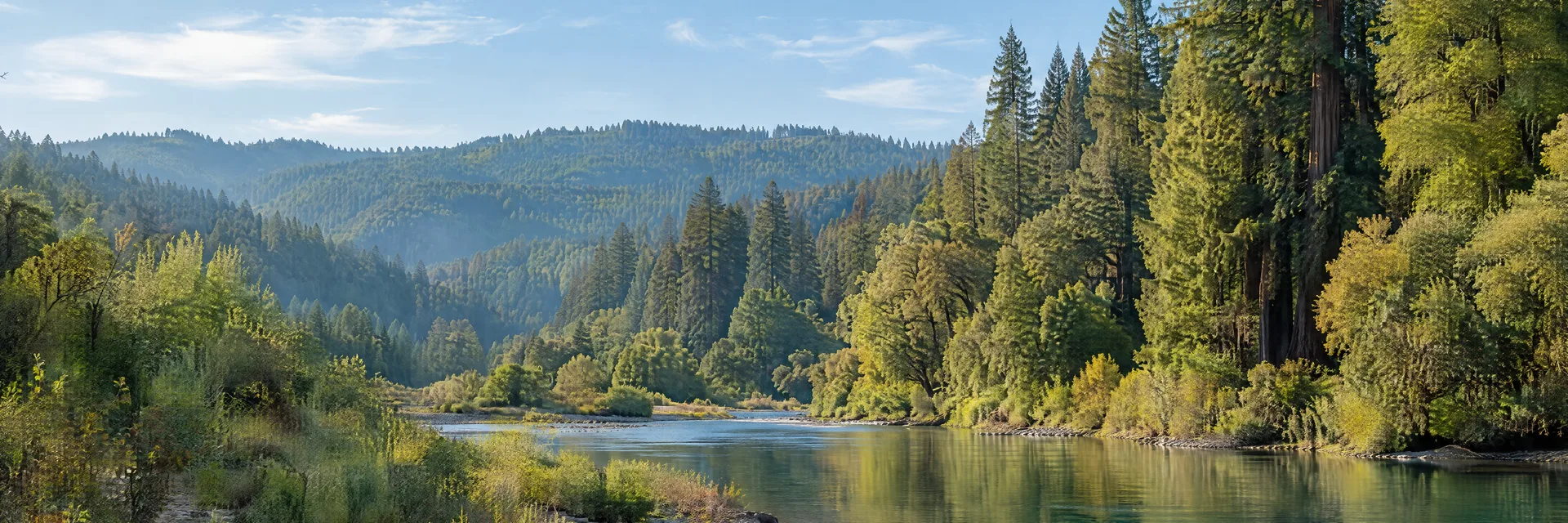 Illustration inspired by Guerneville, CA: northern California river valley shaded by redwoods and mixed woodland.