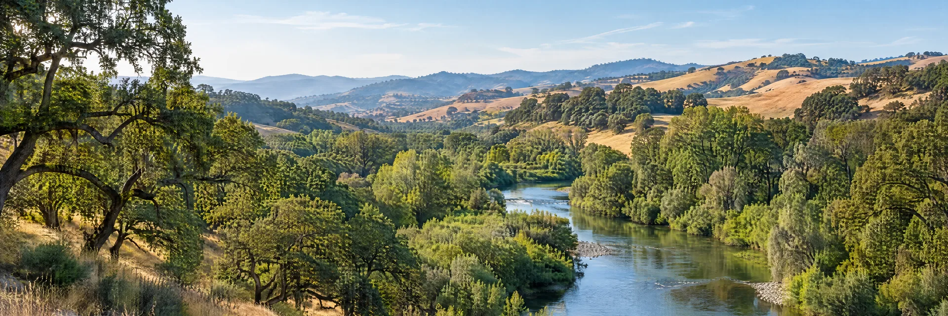 Illustration inspired by Healdsburg, CA: sonoma County oak woodland, green river corridor and softly rolling golden hills.