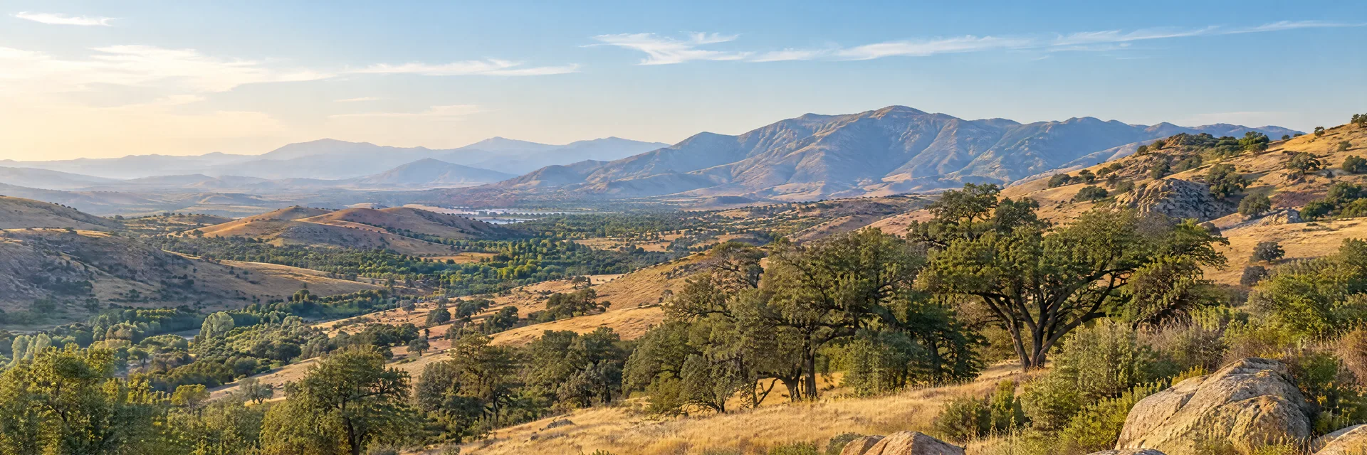 Illustration inspired by Hemet, CA: southern California inland valley with dry golden hills and scattered oaks.