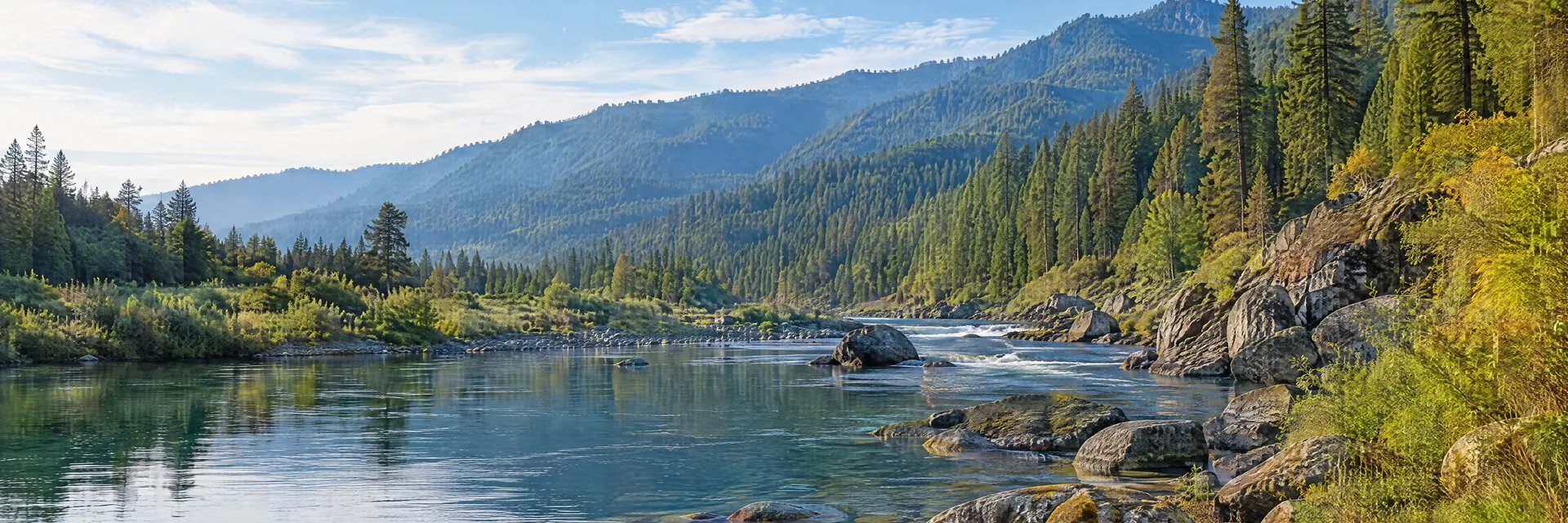 Illustration inspired by Klamath River, CA: northern California mountain river, rocky banks and mixed conifer forest.