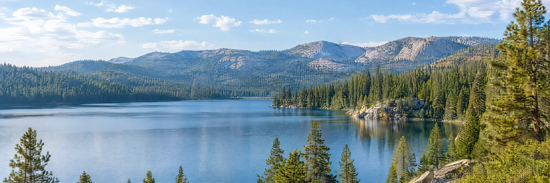 Illustration inspired by Lake Arrowhead, CA: southern California mountain lake, dense pine forest and distant rounded granite ridges.