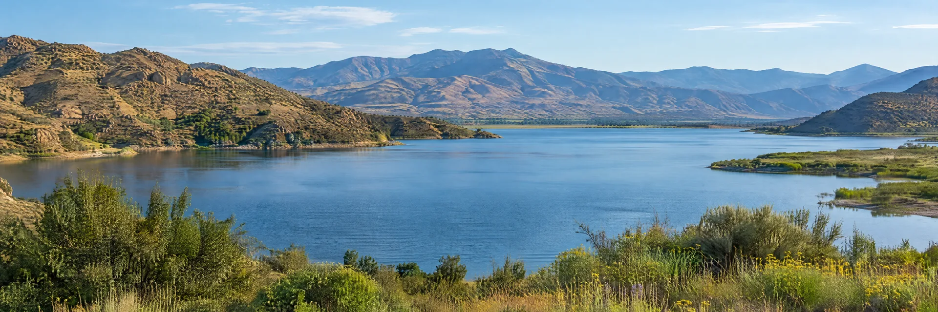 Illustration inspired by Lake Elsinore, CA: southern California freshwater lake bordered by dry foothills and spring grasses.