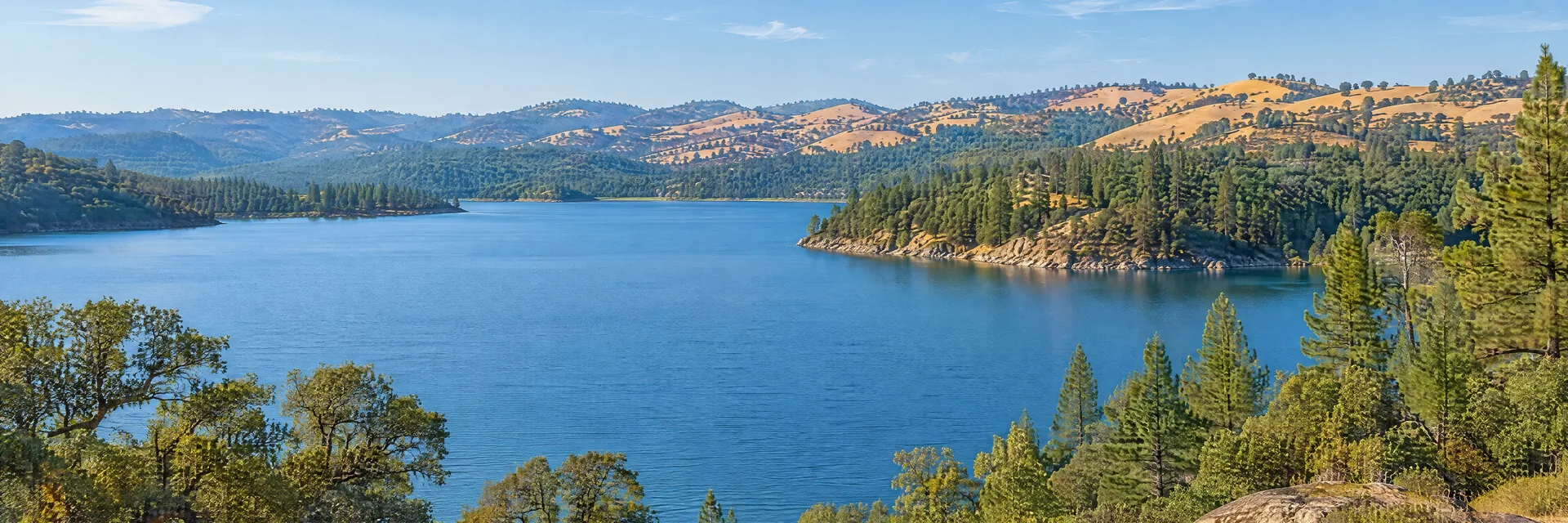 Illustration inspired by Lake Of The Pines, CA: northern California Sierra foothill lake with blue freshwater, oak and pine woodland and softly rolling golden hills.
