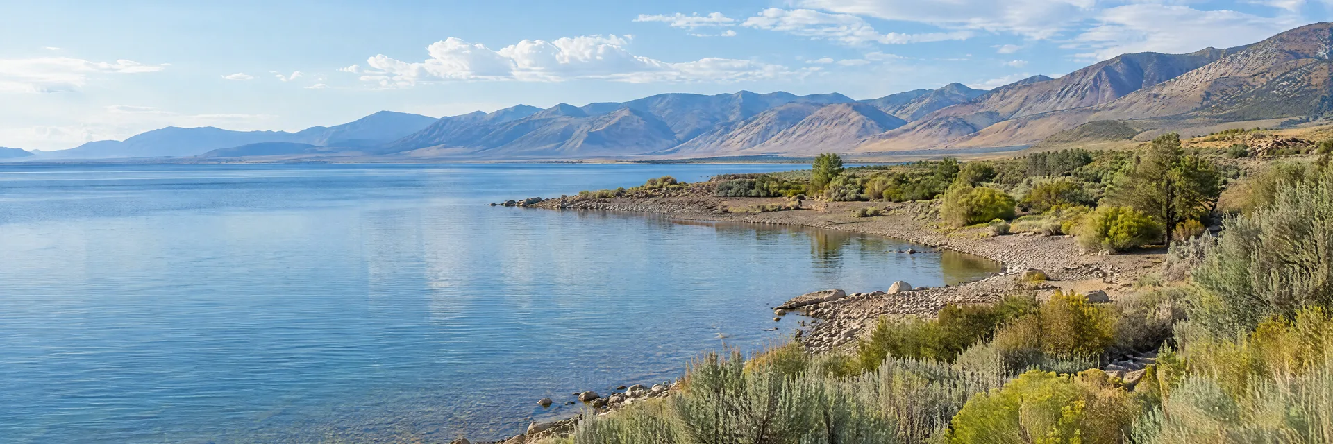 Illustration inspired by Lee Vining, CA: eastern Sierra high desert lake shoreline, sagebrush and distant mountain ridges, no tufa formations or iconic peaks.