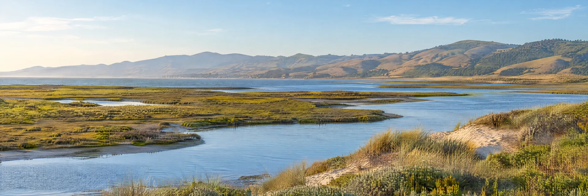Illustration inspired by Los Osos, CA: central California coastal estuary with tidal marsh, low sandy dunes and softly rounded coastal hills, no distinctive landmark rocks.