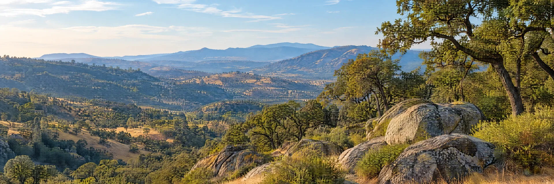 Illustration inspired by Mariposa, CA: california Sierra foothills with golden grass, oak woodland and granite boulders, no Yosemite landmarks.