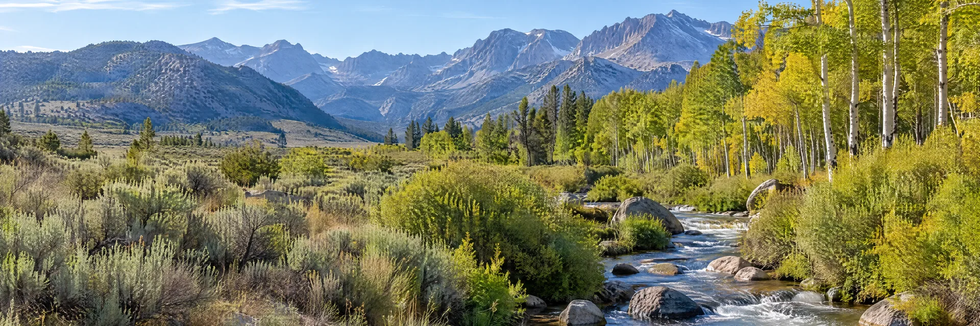 Illustration inspired by McGee Creek, CA: eastern Sierra mountain creek, aspen grove, sagebrush and distant rugged ridges.