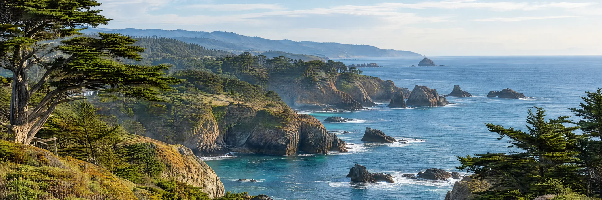 Illustration inspired by Mendocino, CA: northern California coastal headlands with cypress trees and rocky coves.