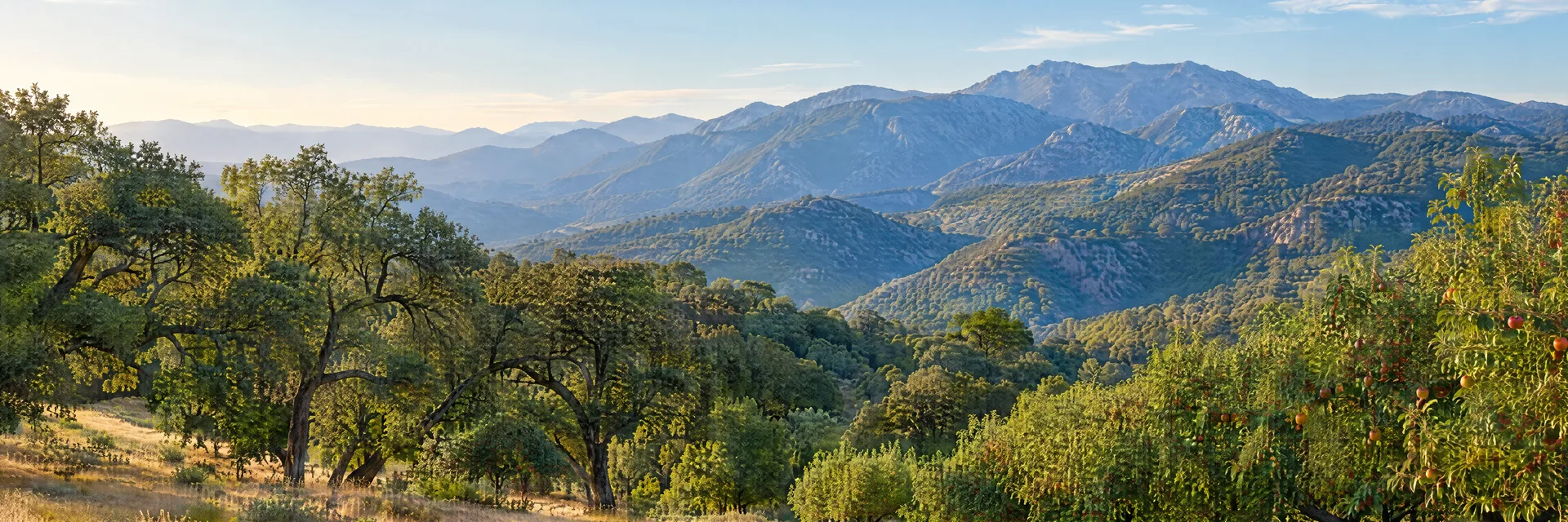 Illustration inspired by Oak Glen, CA: southern California mountain foothills, oak woodland, golden grassy meadow and apple orchard trees beneath layered mountain ridges.