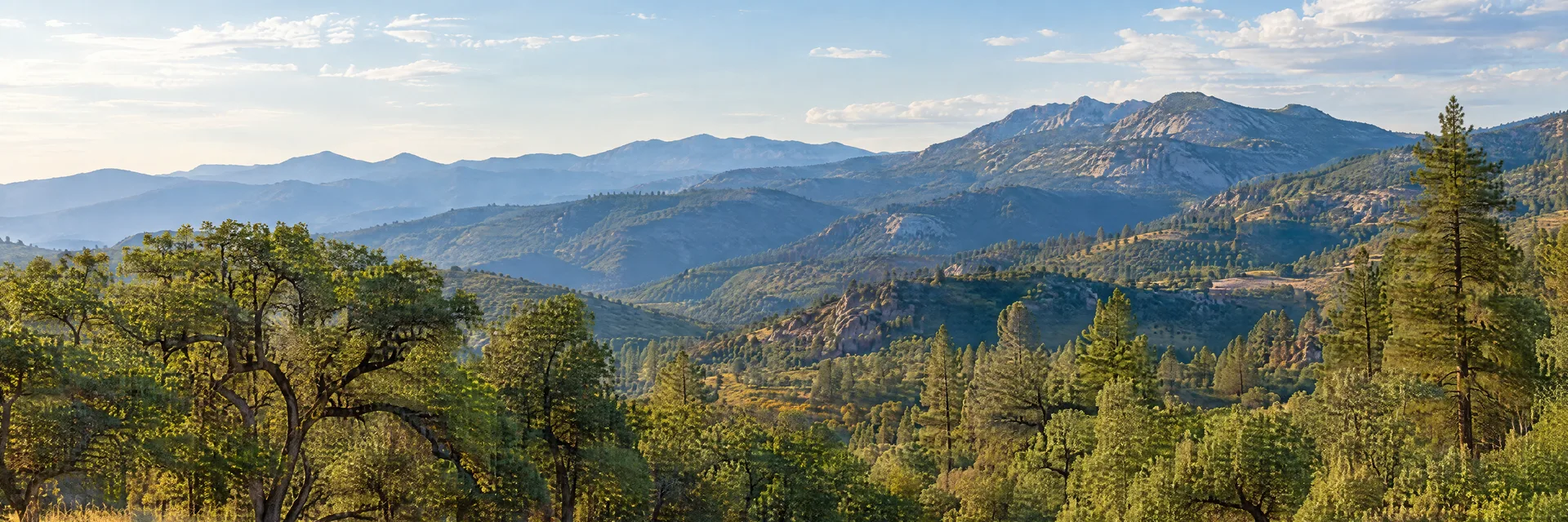 Illustration inspired by Oakhurst, CA: southern Sierra foothill oak and pine woodland, golden meadow and layered mountain slopes.