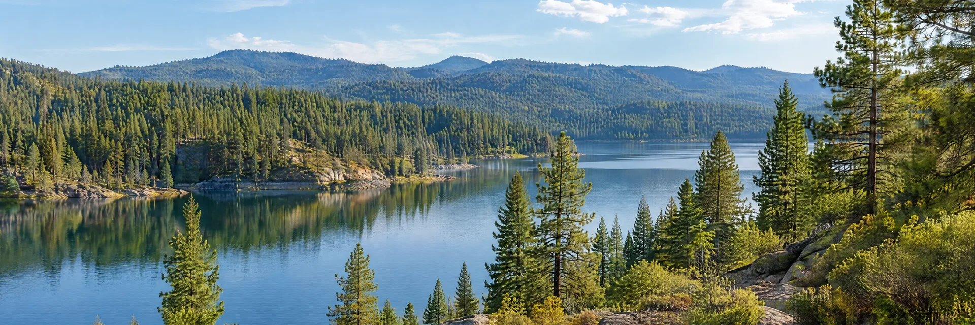 Illustration inspired by Pollock Pines, CA: california Sierra foothill pine and cedar forest beside a quiet reservoir.