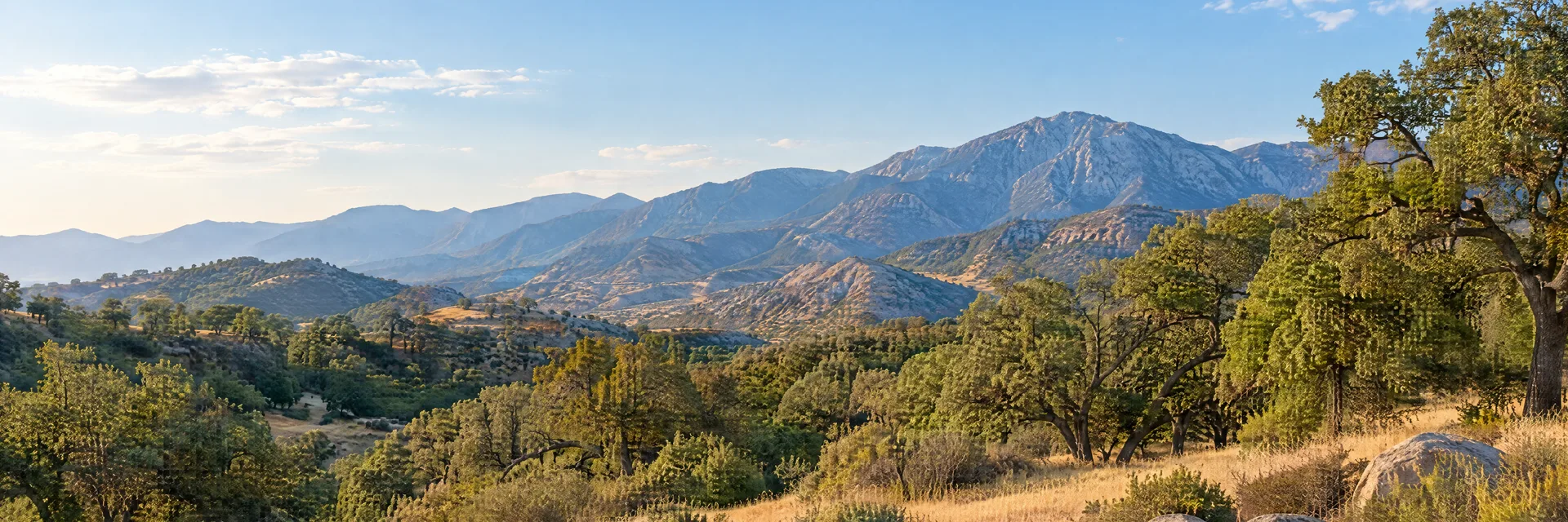 Illustration inspired by San Bernardino, CA: southern California inland foothills, dry golden grass, oak woodland and rugged mountain backdrop.