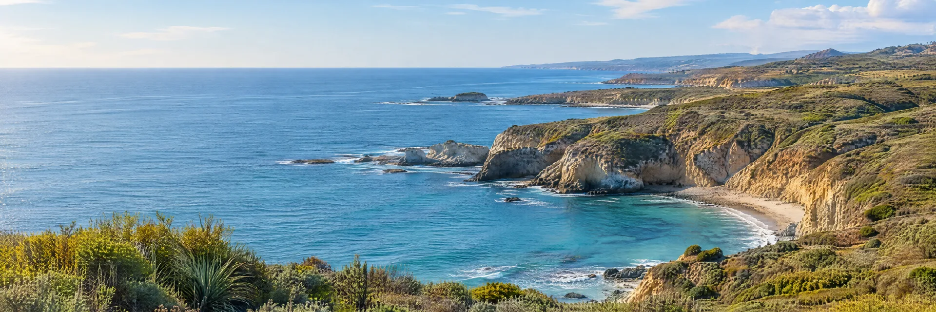 Illustration inspired by San Diego, CA: southern California coastal bluffs with low sage scrub and blue Pacific coves.