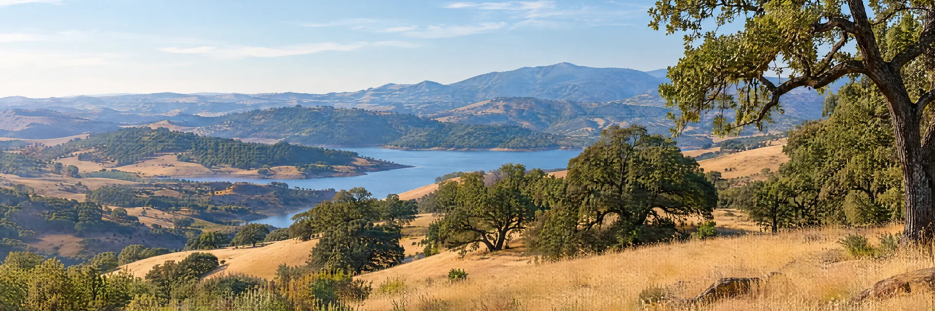Illustration inspired by Santa Margarita, CA: central Coast oak savanna, golden grassy hills and a tranquil inland reservoir glimpse.