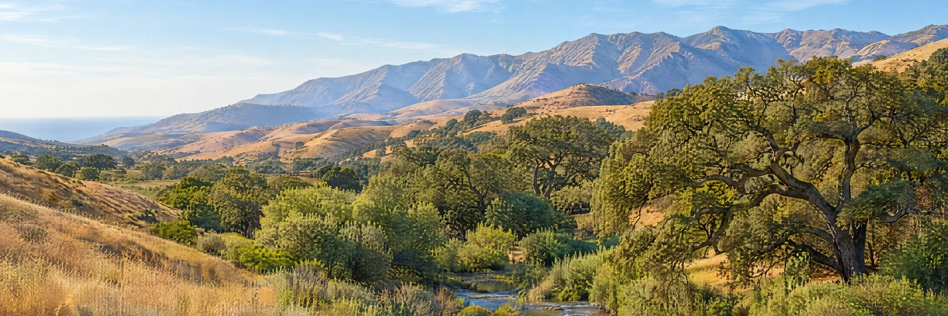 Illustration inspired by Santa Paula, CA: southern California inland coastal valley, rolling golden hills, coast live oaks and a quiet creek beneath dry mountain ridges.