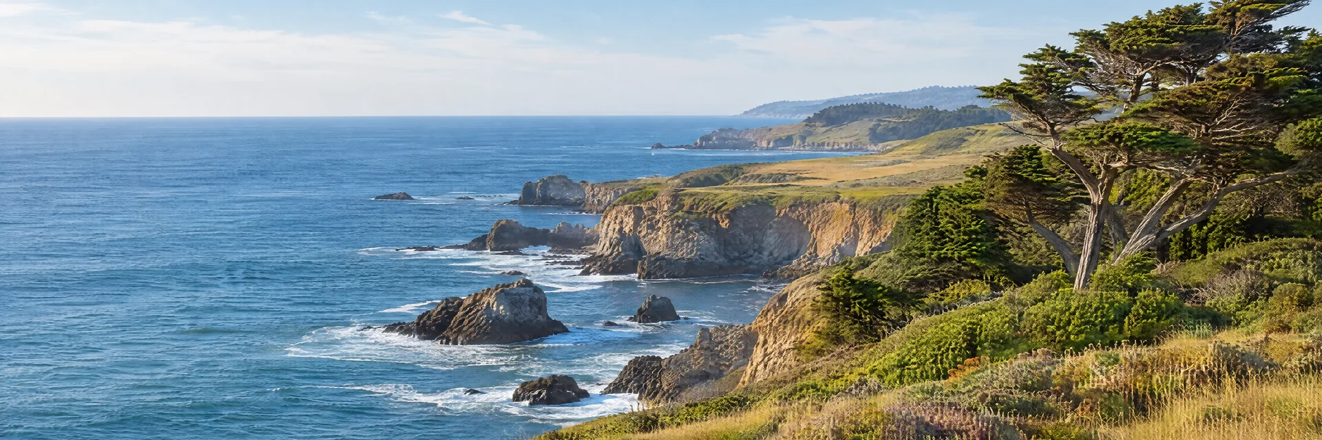 Illustration inspired by Timber Cove, CA: northern California Sonoma coast, blue Pacific water, rugged low sea cliffs, coastal grassland and wind-shaped cypress trees.