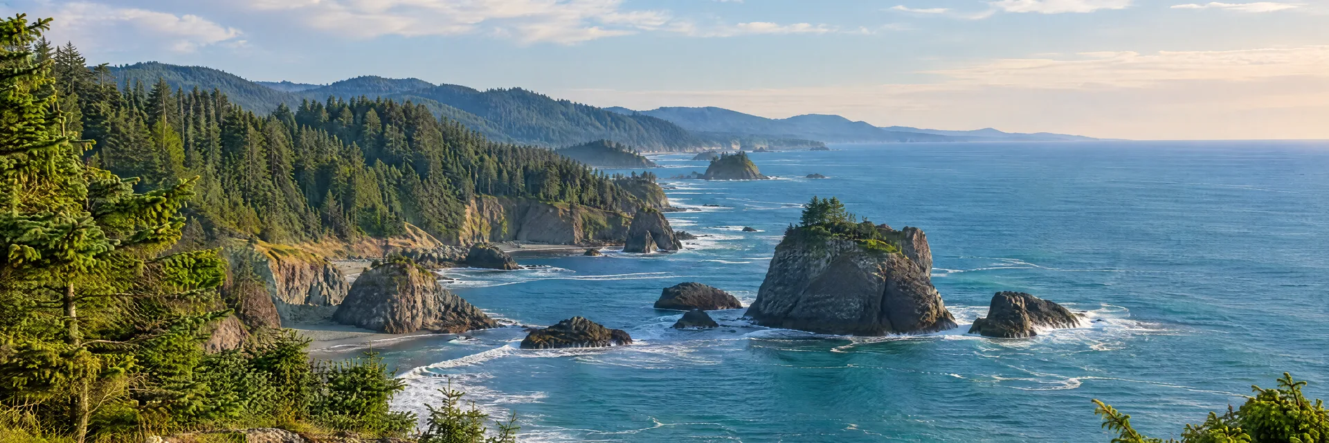 Illustration inspired by Trinidad, CA: northern California rocky Pacific shoreline with spruce-covered headlands.