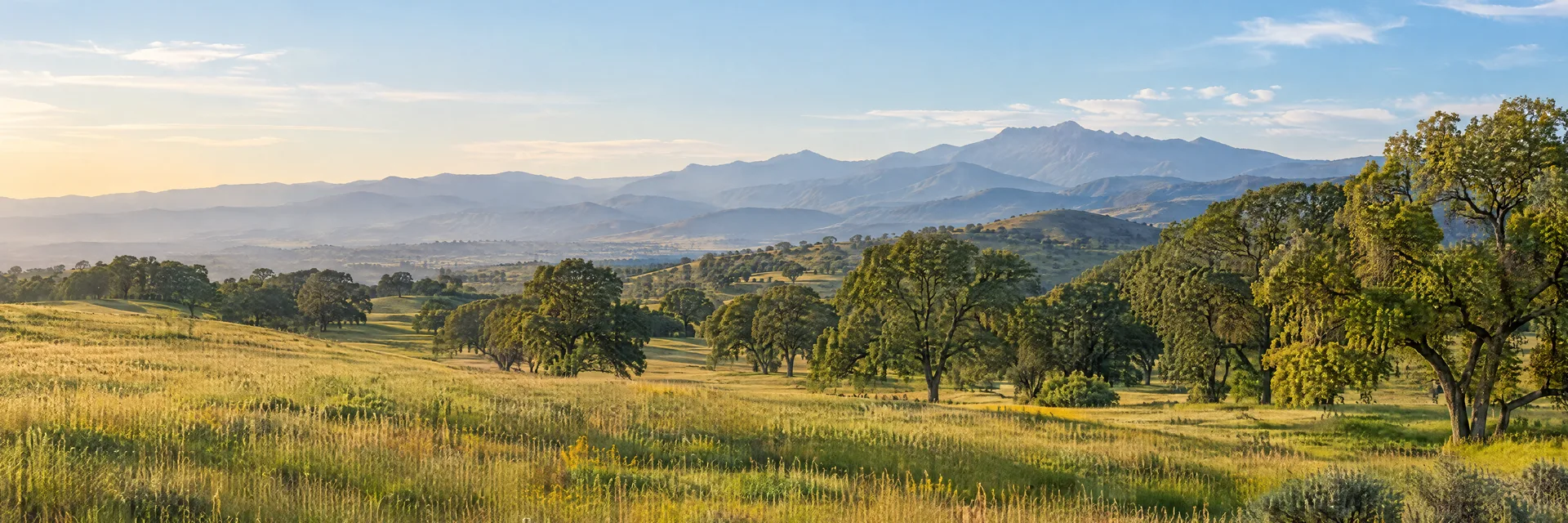 Illustration inspired by Visalia, CA: california San Joaquin Valley edge, open golden-green meadow, scattered oak trees and distant hazy Sierra Nevada foothills.