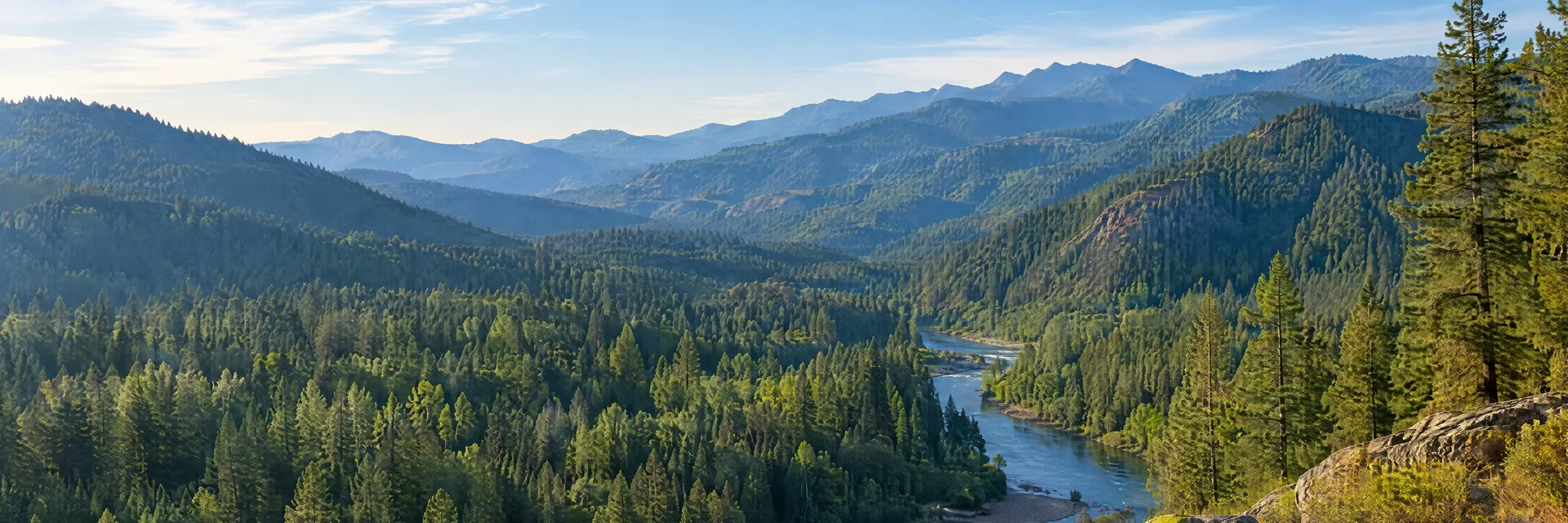 Illustration inspired by Weaverville, CA: northern California Trinity mountain valley, dense mixed evergreen forest and wooded ridgelines.