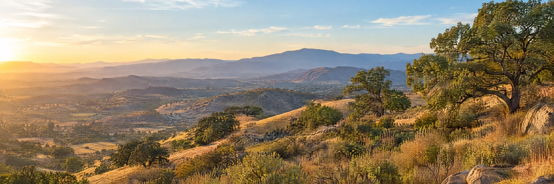 Illustration inspired by Wildomar, CA: southern California inland valley, golden grass-covered hills, sparse coast live oaks and dry chaparral in warm late afternoon light.