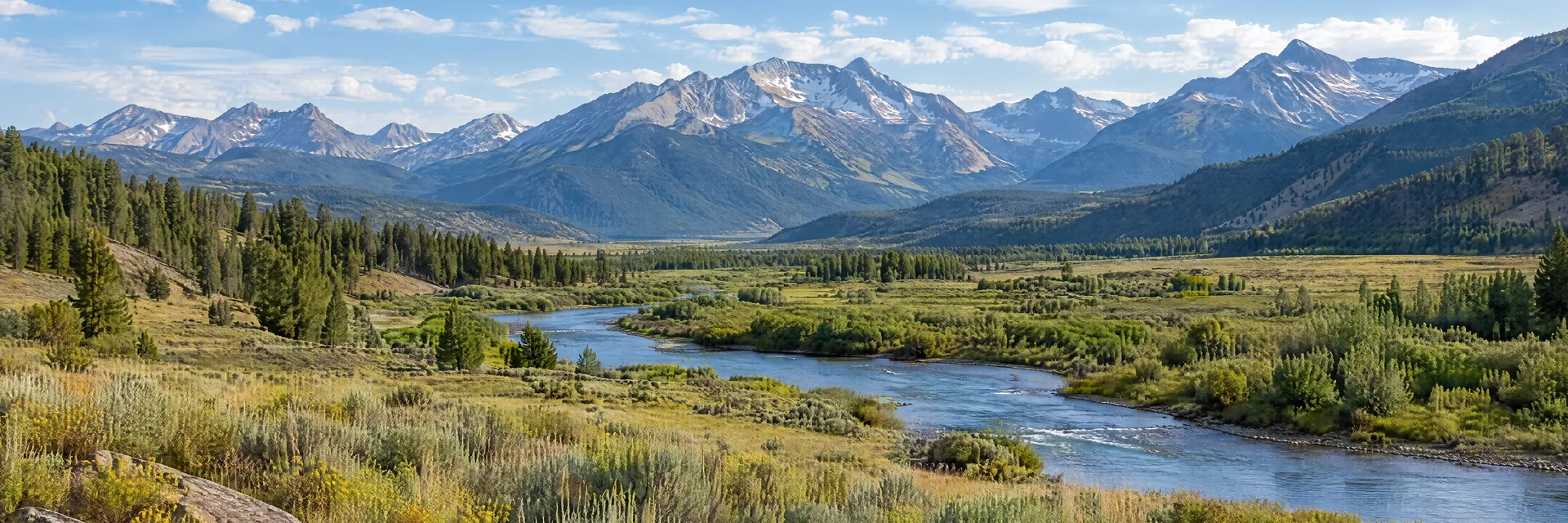 Illustration inspired by Buena Vista, CO: arkansas River high mountain valley with sagebrush meadow and distant alpine peaks.