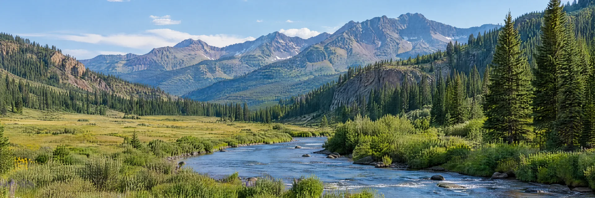 Illustration inspired by Creede, CO: colorado high mountain valley with river, meadow, conifers and rugged distant ridges.