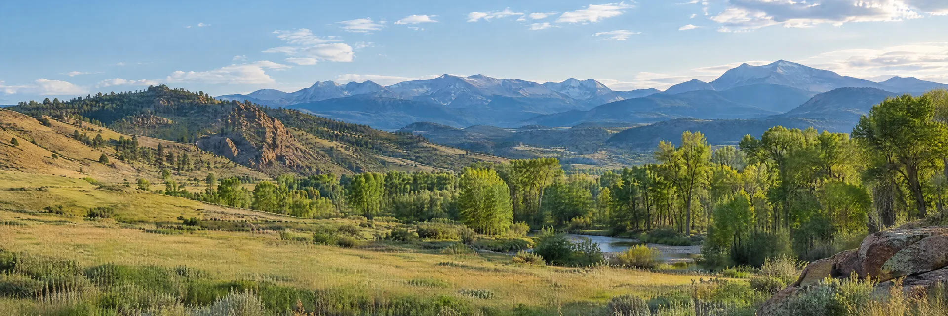 Illustration inspired by Denver, CO: colorado Front Range foothills, open grassy meadow, cottonwoods and distant mountains outside the city.
