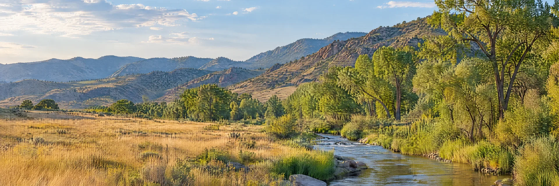 Illustration inspired by Golden, CO: colorado Front Range foothills, dry golden meadow and cottonwood-lined creek.